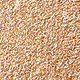 Creamsicle Eyeshadow Stick
